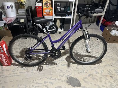 24'' RoadMaster Granitepeak PiNk Bike