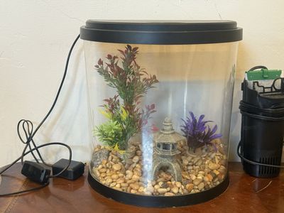 3 gallon top fin fish tank