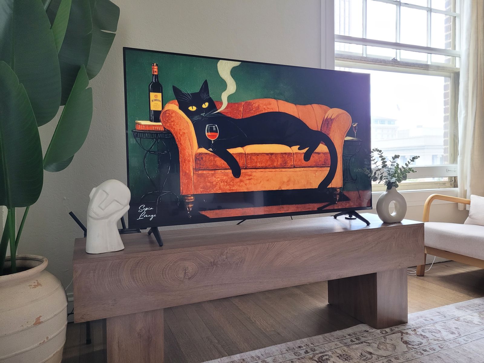 55" TV Vizio