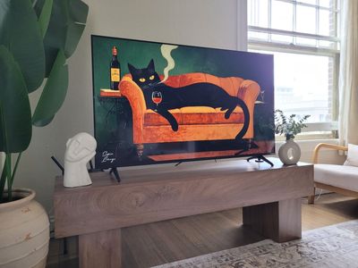55" TV Vizio