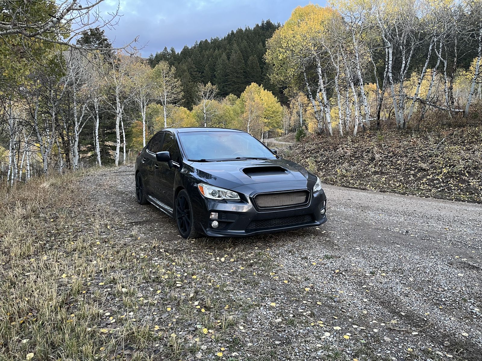 2016 Subaru WRX Premium
