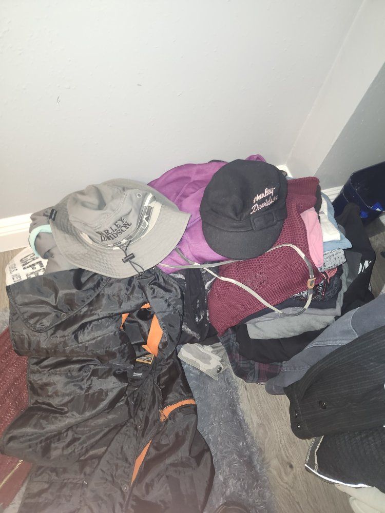 Main image 4