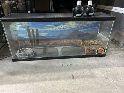 55 gallon tank