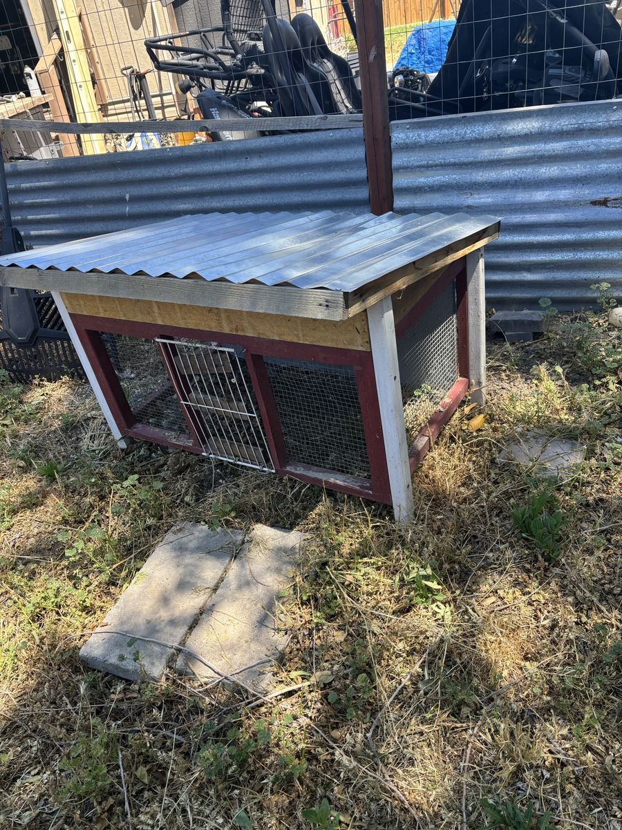 Bunny cage  with roof