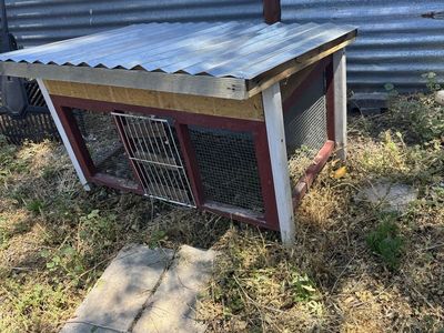 Bunny cage with roof