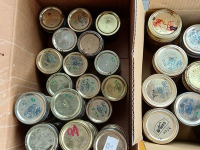 Canning Jars