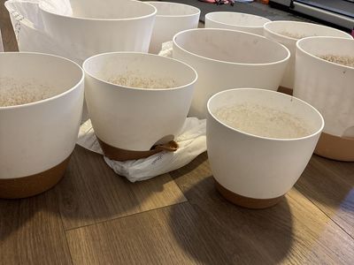 White self watering Planters with Terracotta Base - Set of 9, Various Sizes