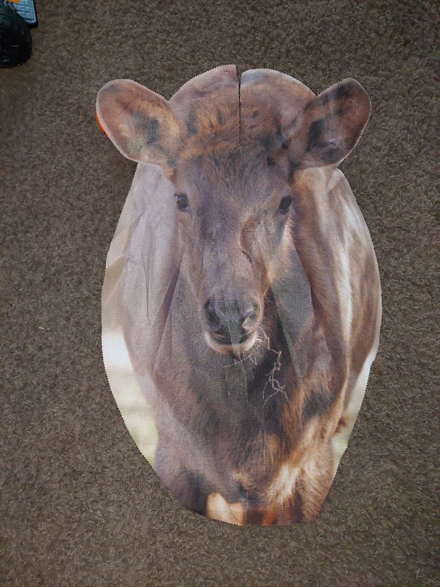Elk Cow Decoy Hunting Wildlife Graphic Print
