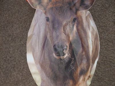 Elk Cow Decoy Hunting Wildlife Graphic Print