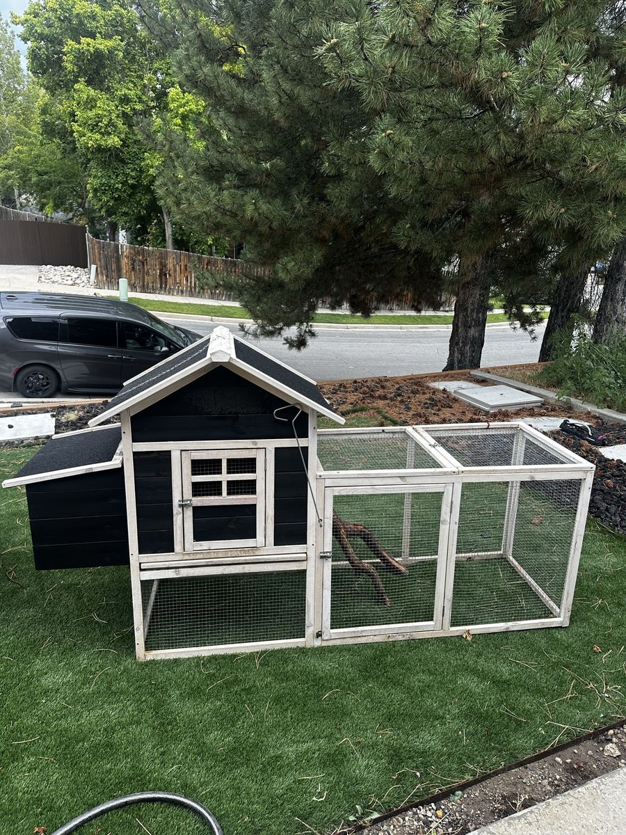 Chicken coop/ critter cage