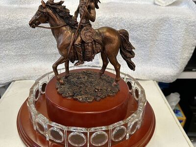 Indian Head Penny Display Collection