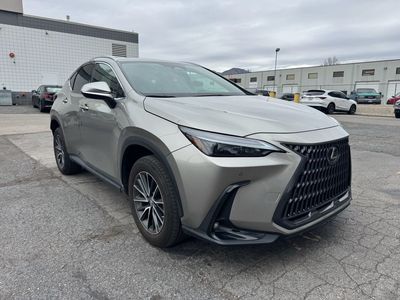 2023 Lexus NX 350 Premium