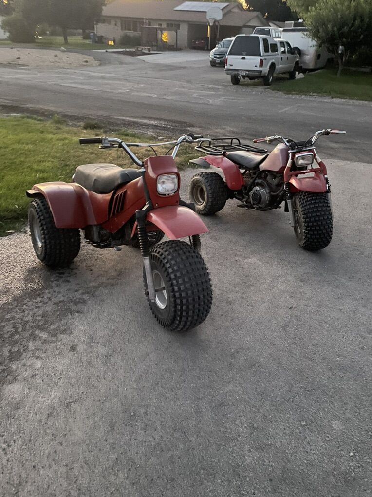 Looking To Buy 3-Wheelers