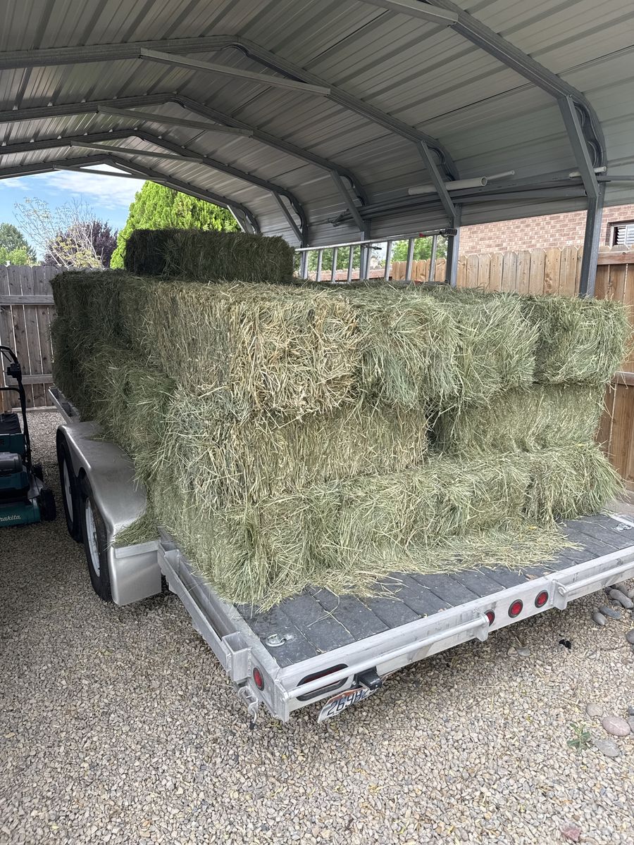 Grass hay