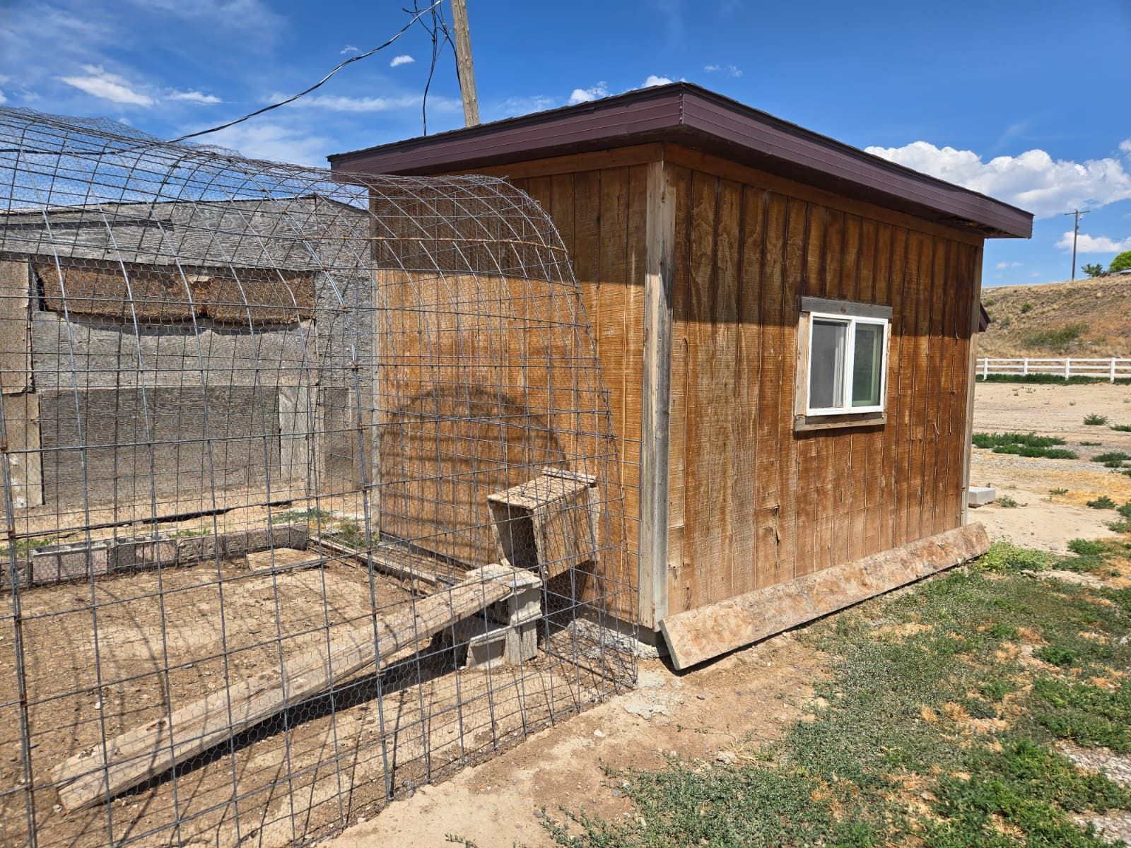 9'x11' Shed (Formerly Chicken Coop) - Door, Window, Nesting Box - Ready for Repurpose