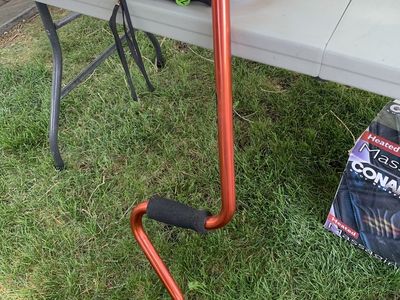 Canes