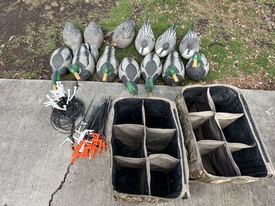 Full Body Duck Decoys