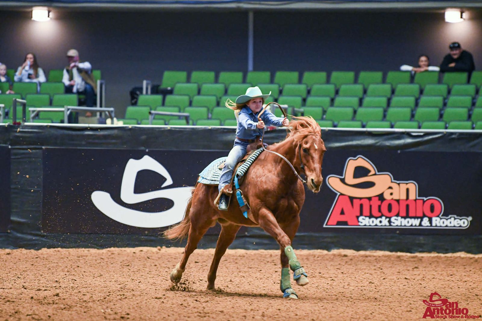 19 YO AQHA Will Trade (Broodmare, Mini, Etc.)