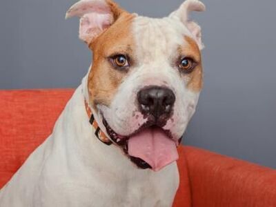 Hello my name is Fitz