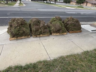 Free Sod