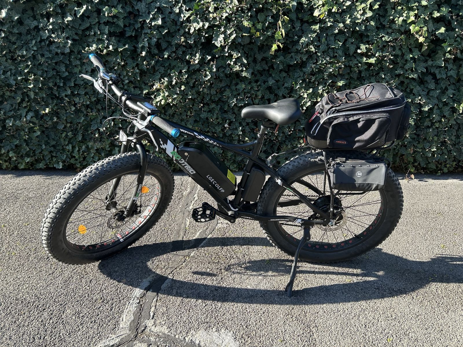 1000w Double Battery 30mph Ebike