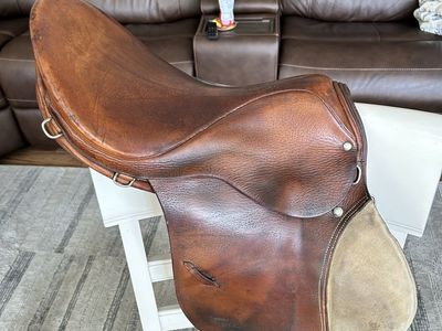 Johs Stubben Krefeld Siegfried English Saddle
