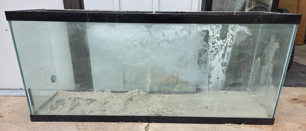 55 gallon aquarium