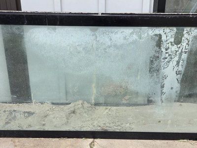 55 gallon aquarium