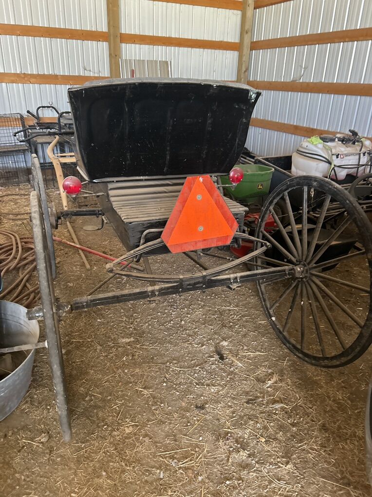 Amish Buggy