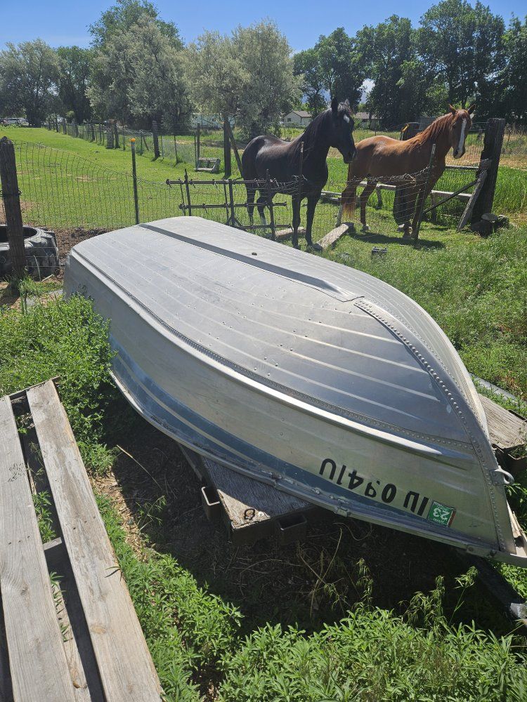 Blue Fin Boat
