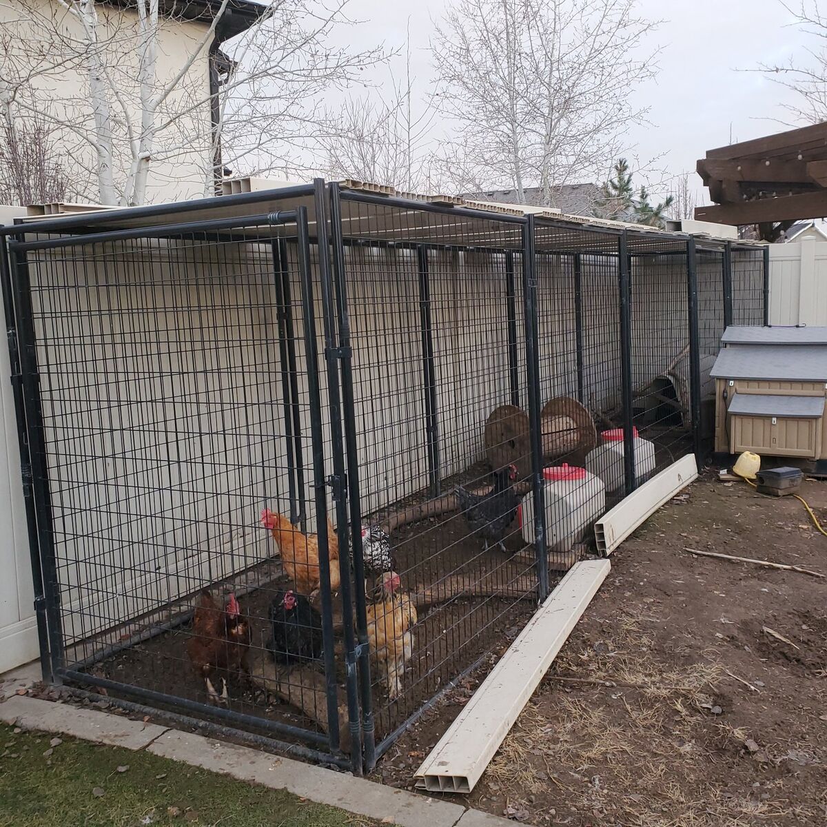 coop, run, 8 chickens