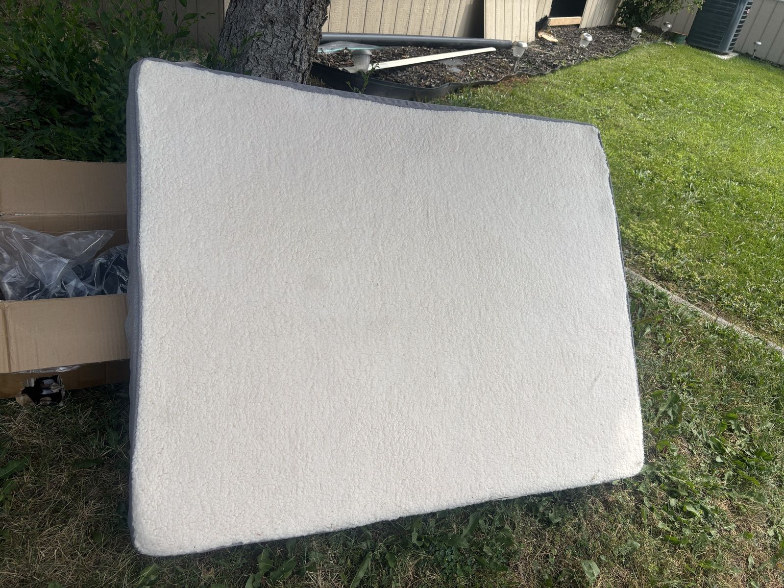Dog bed 