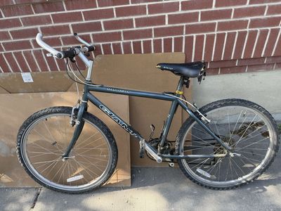 Mountain Bike