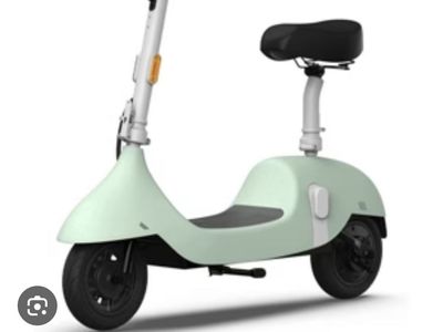 OKAI Ceetle Pro Foldable Electric Scooter - Green