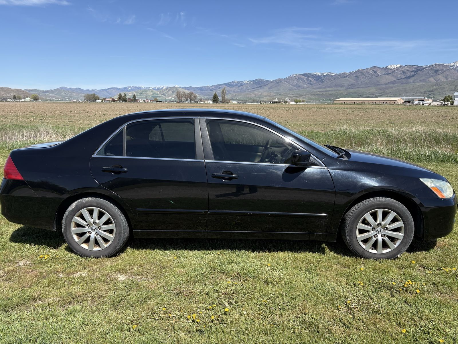 2007 HONDA ACCORD