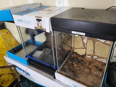 Assorted reptile enclosure and auqriums