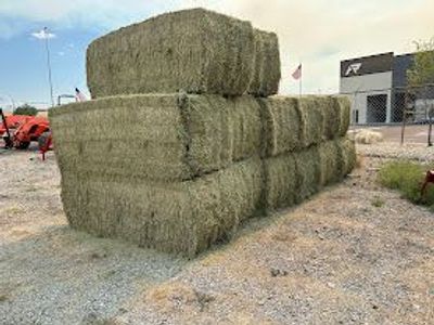 Alfalfa Hay Bales
