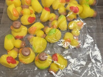 Fall Acorn Rubber Ducks - 24