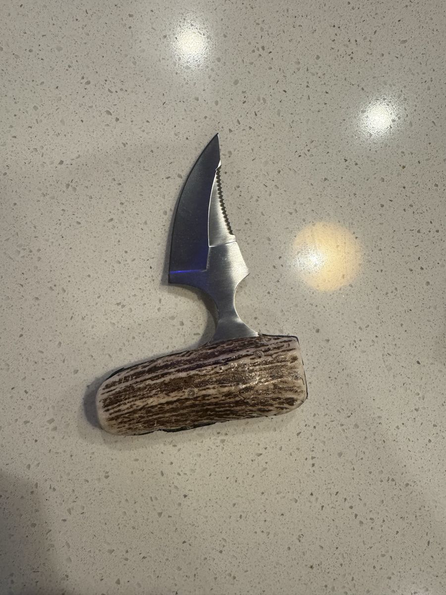 Shark tooth knife