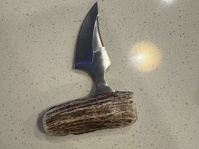 Shark tooth knife