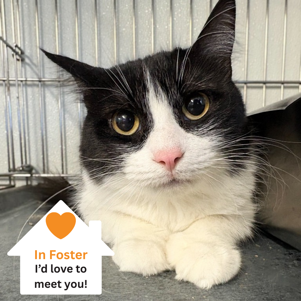 Hello my name is Maka