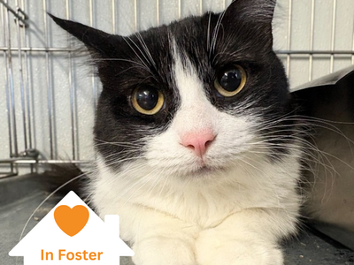 Hello my name is Maka