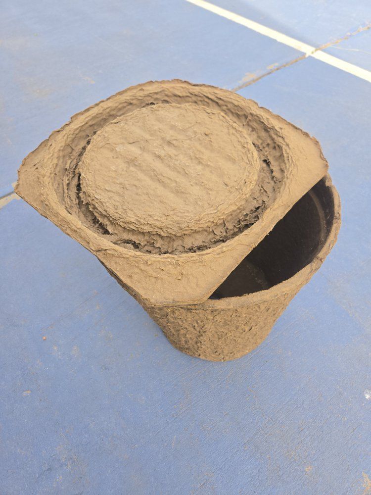 Main image 11