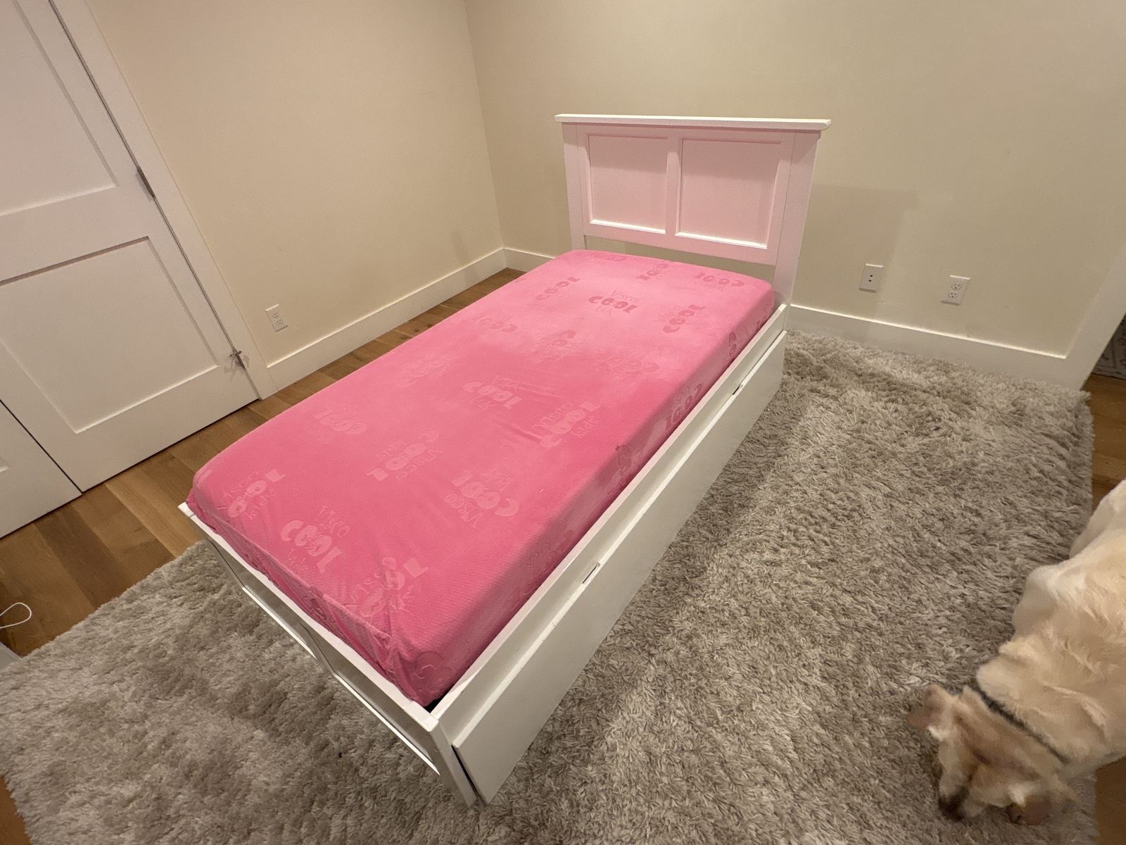 Trundle bed frame with mattresses