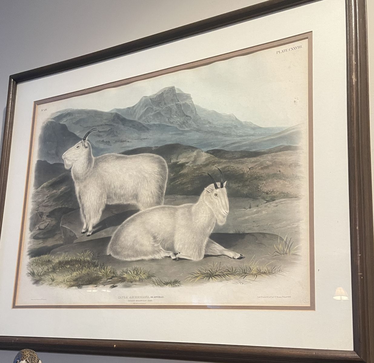 Main image 5