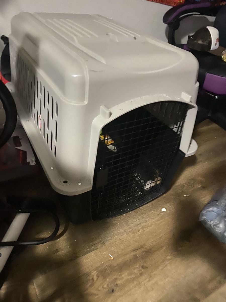 Dog Crate