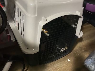 Dog Crate