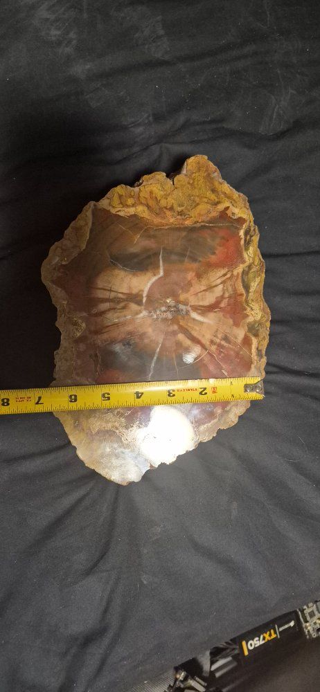 Main image 5