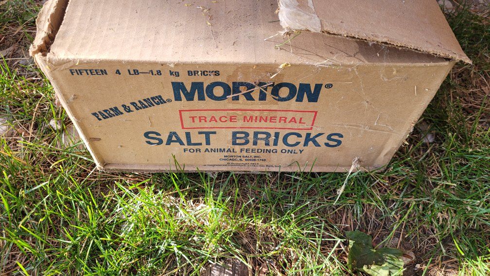 Morton Farm & Ranch Trace Mineral Salt Bricks - 45lbs total