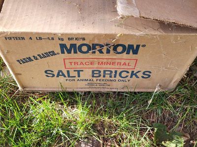 Morton Farm & Ranch Trace Mineral Salt Bricks - 45lbs total